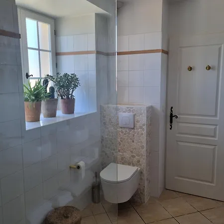 Les Oiseaux De Paradis