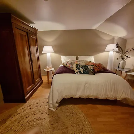 Les Oiseaux De Paradis