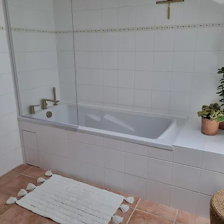 Les Oiseaux De Paradis