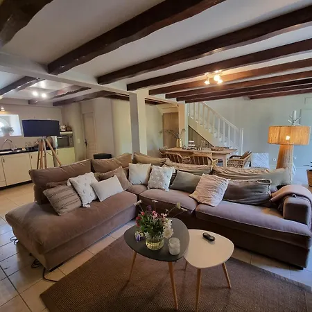 Les Oiseaux De Paradis *