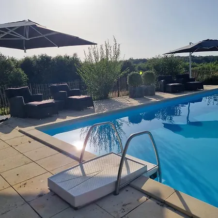 Les Oiseaux De Paradis