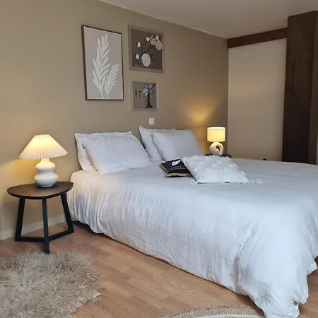 Les Oiseaux De Paradis