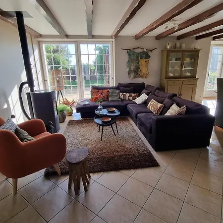 Les Oiseaux De Paradis *