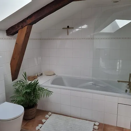 Les Oiseaux De Paradis * Lacropte