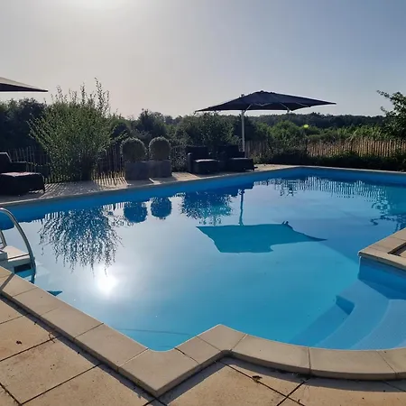 Les Oiseaux De Paradis