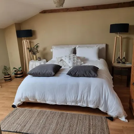 Les Oiseaux De Paradis