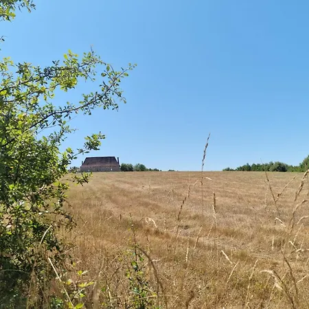 Les Oiseaux De Paradis * Lacropte