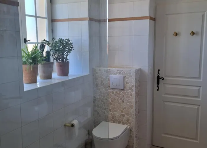 Les Oiseaux De Paradis