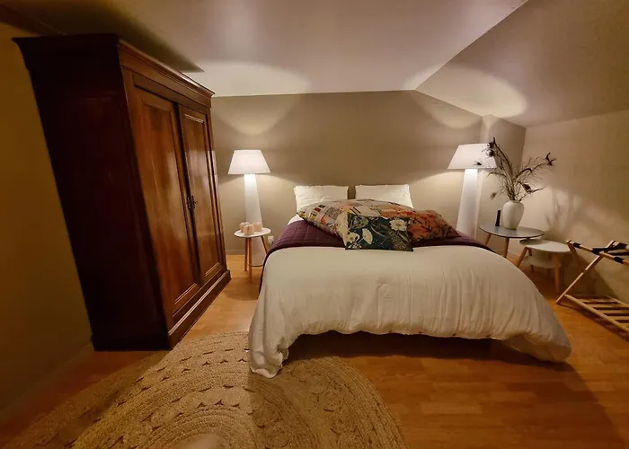 Les Oiseaux De Paradis