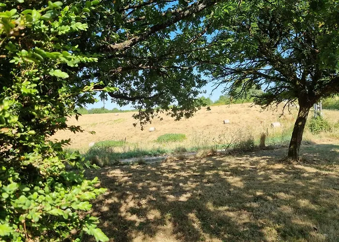 Vakantiehuis Les Oiseaux De Paradis Lacropte