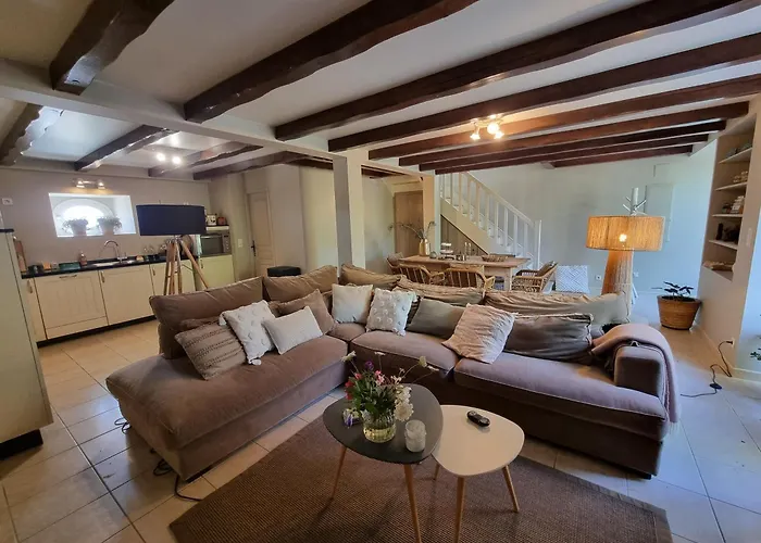 Les Oiseaux De Paradis *