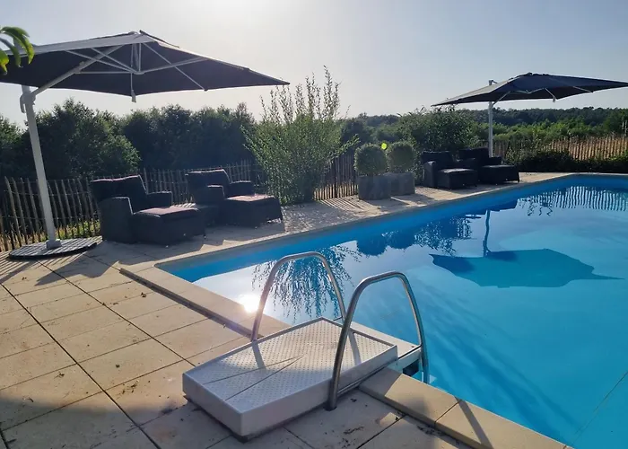 Les Oiseaux De Paradis