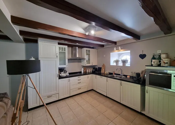 Les Oiseaux De Paradis