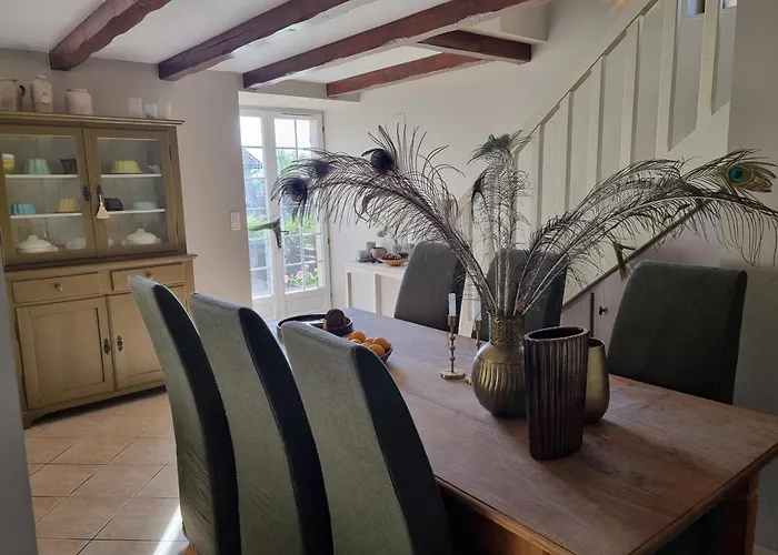 Les Oiseaux De Paradis *