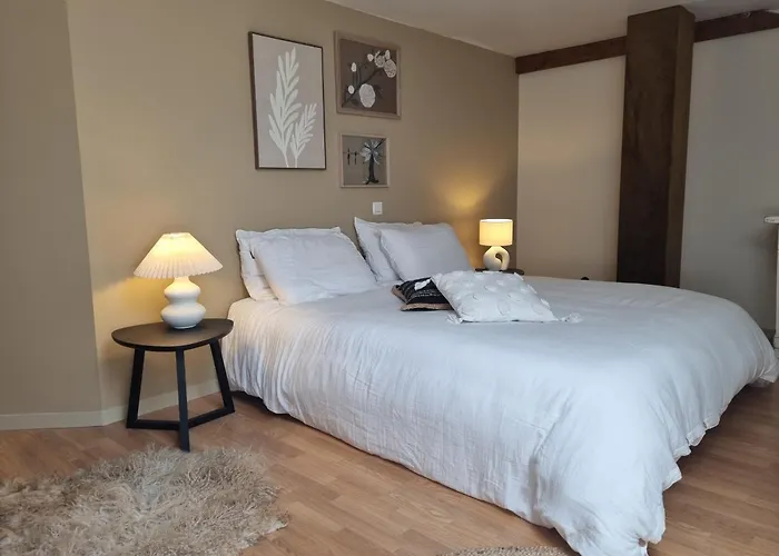 Les Oiseaux De Paradis