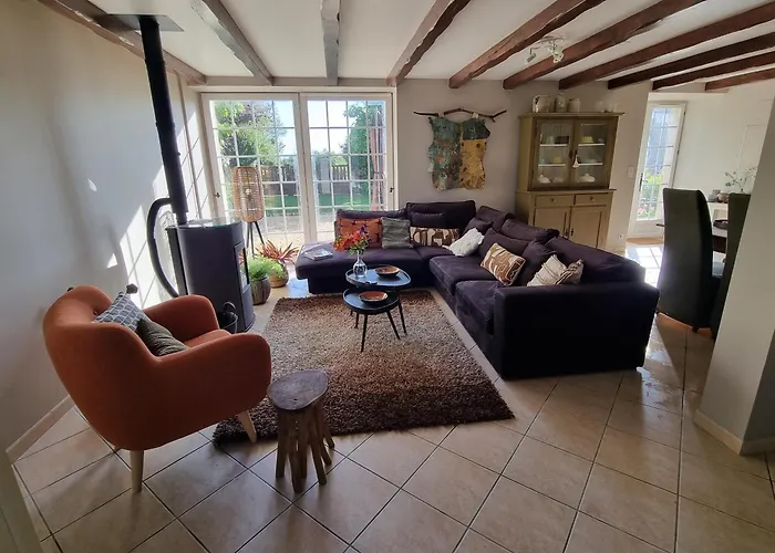 Les Oiseaux De Paradis *