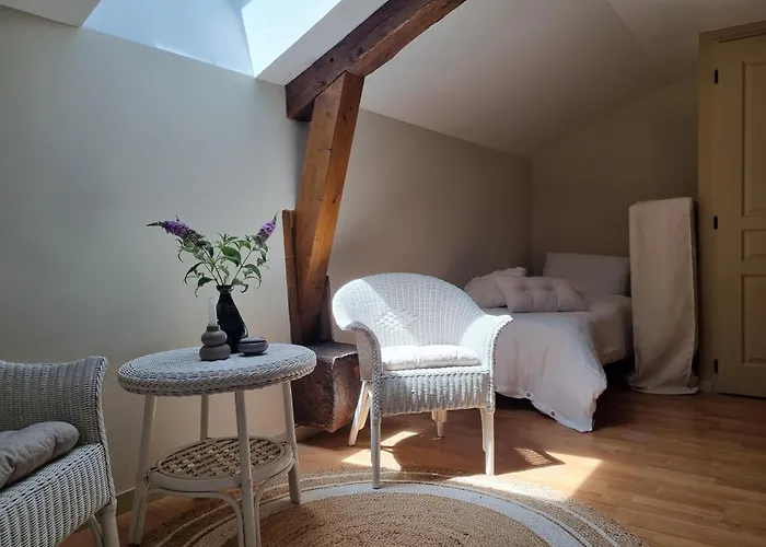 Les Oiseaux De Paradis