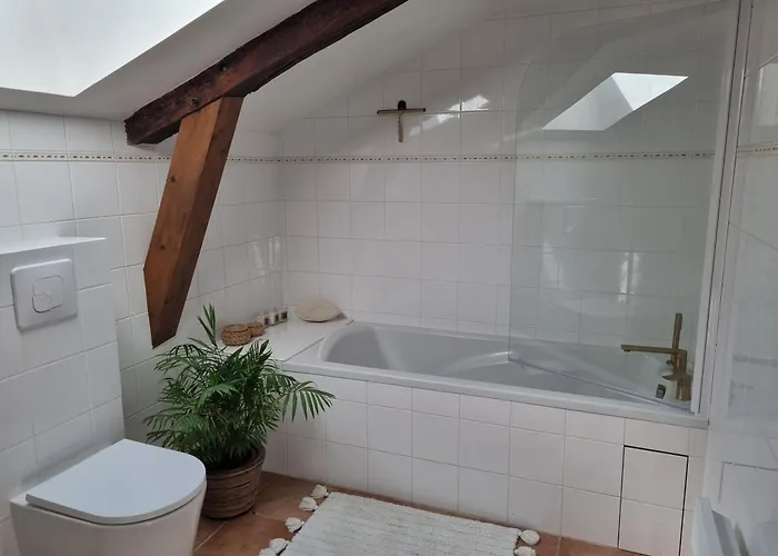 Les Oiseaux De Paradis * Lacropte