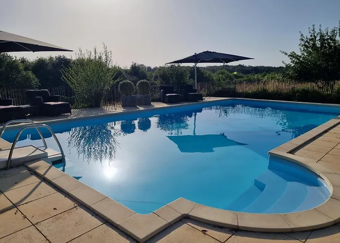 Les Oiseaux De Paradis