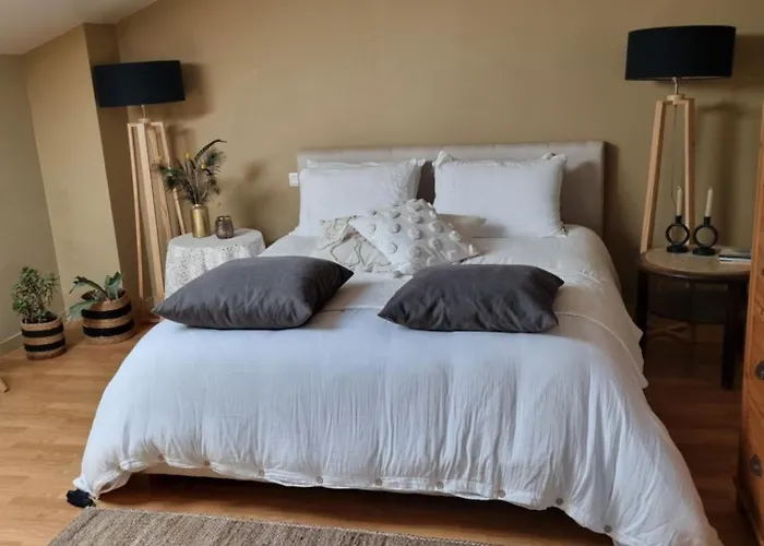 Les Oiseaux De Paradis