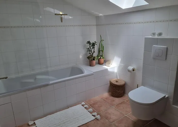 Vakantiehuis Les Oiseaux De Paradis *