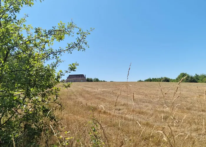 Les Oiseaux De Paradis * Lacropte